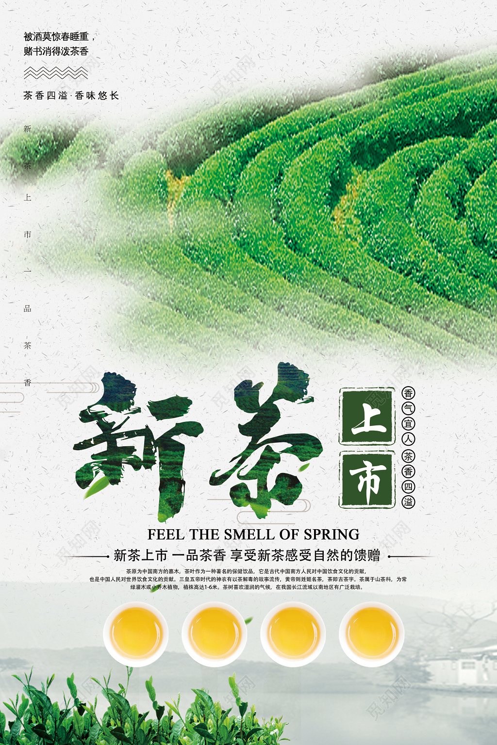 新茶上市一品茶香中国茶海报设计