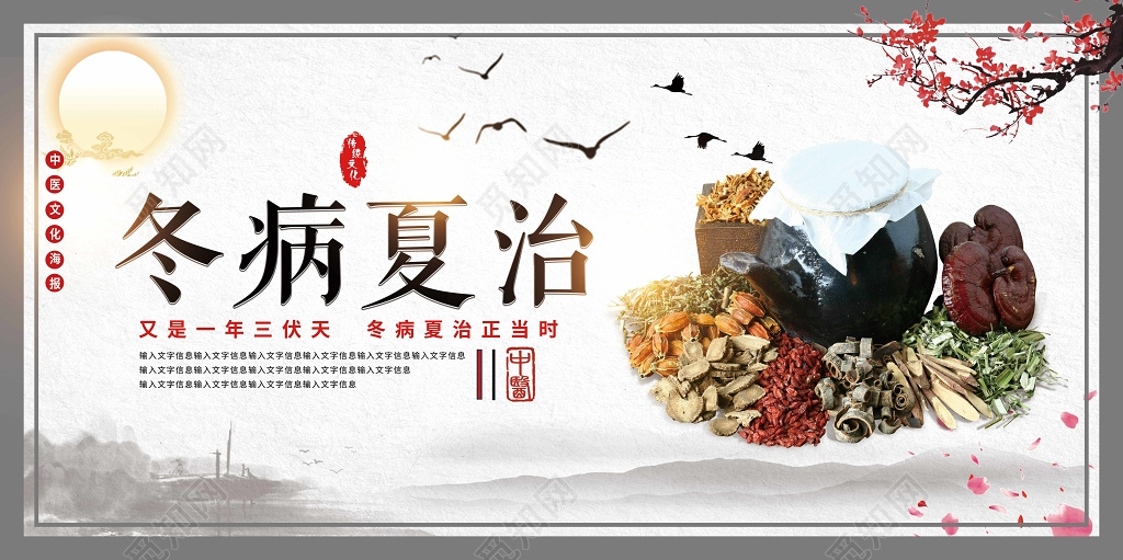 古风冬病夏治中医养生宣传展板