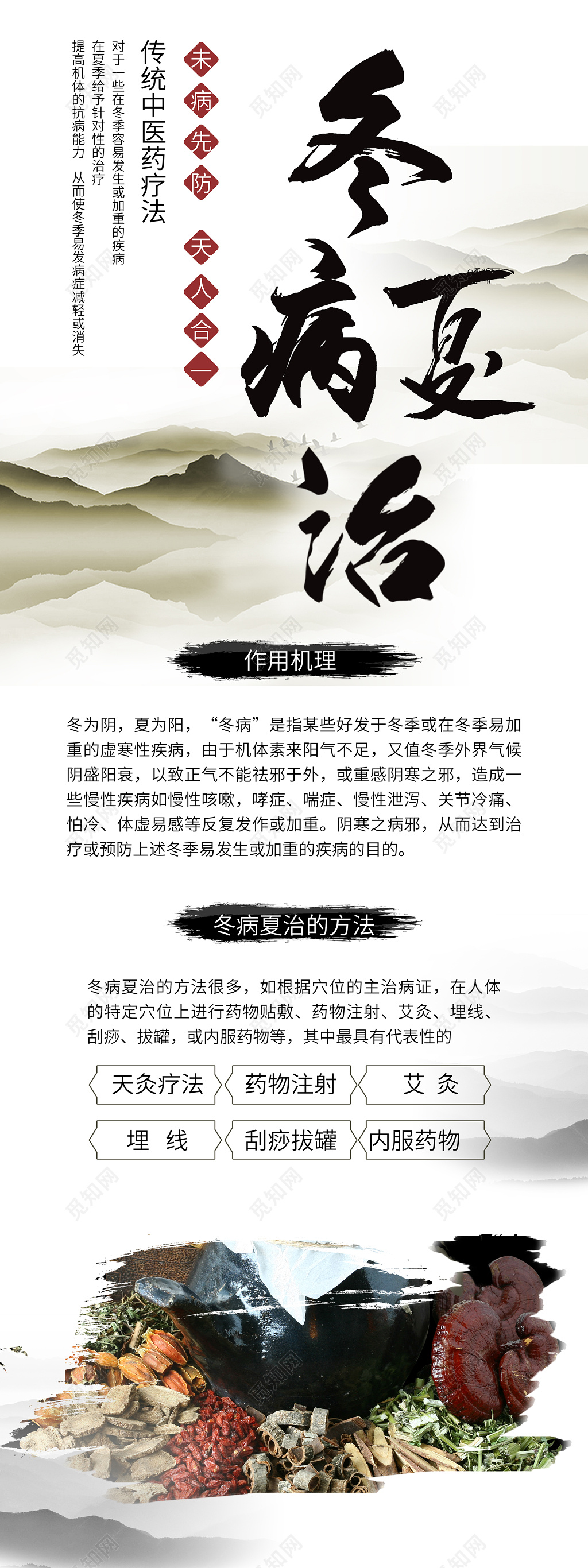 公司介绍白色大气中国风冬病夏治中医养生展架易拉宝