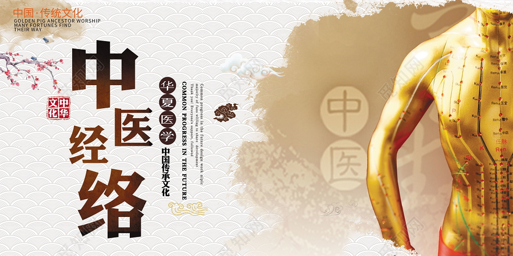 华夏中医中医经络中医养生宣传展板
