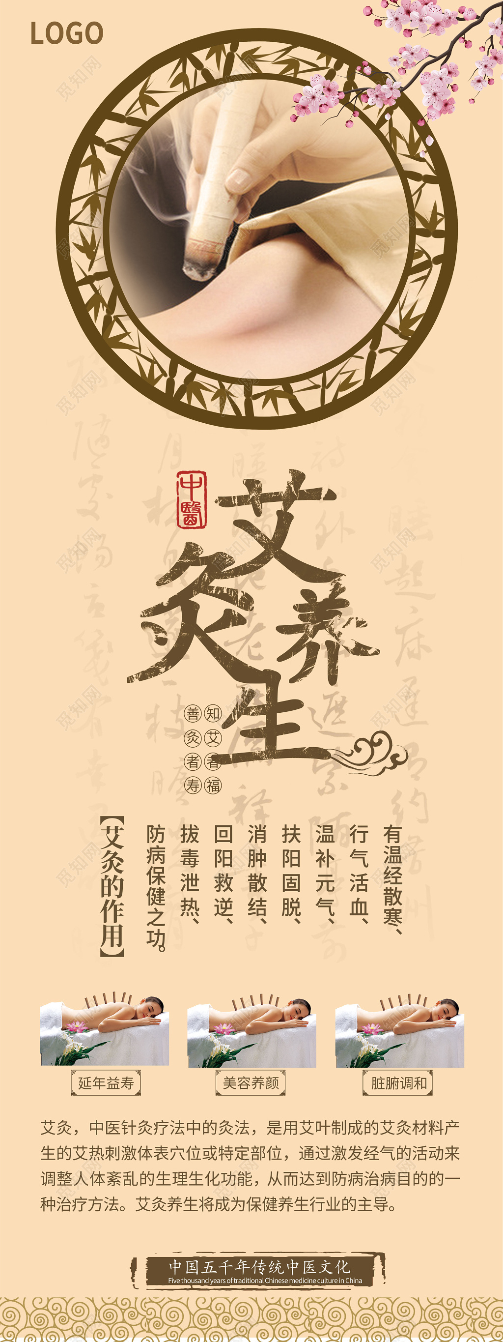 中医养生艾灸易拉宝展架海报