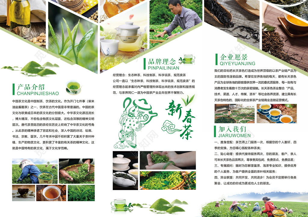 春茶公司介绍企业宣传茶叶宣传三折页设计模板