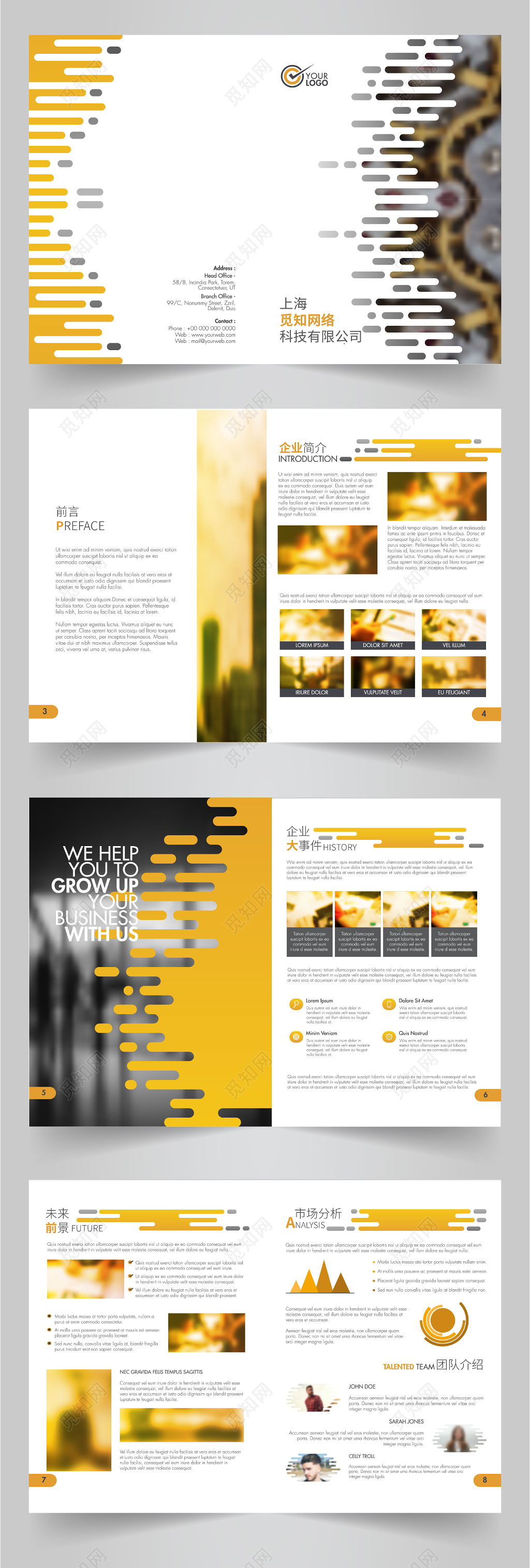 公司介绍商务大气风格企业简介大事件未来前景公司画册设计