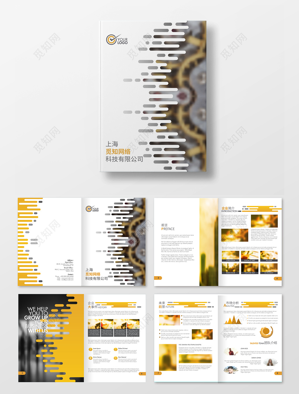 公司介绍商务大气风格企业简介大事件未来前景公司画册设计