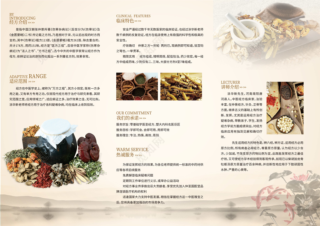 公司介绍中国风中药中医养生产品宣传三折页