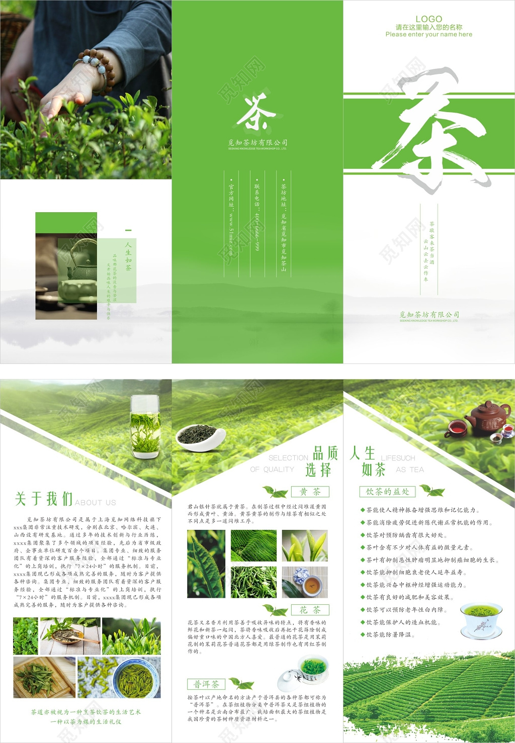 公司介绍小清新绿色茶叶春茶三折页