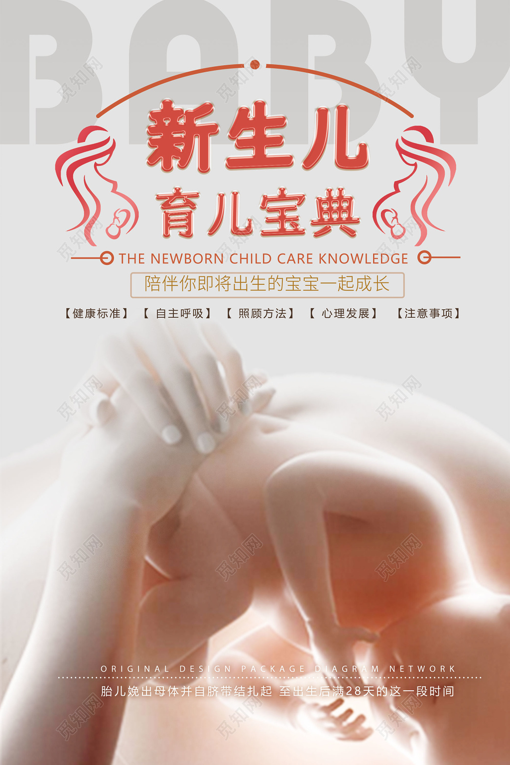 母婴新生儿胎javascript教育儿宝典知识海报