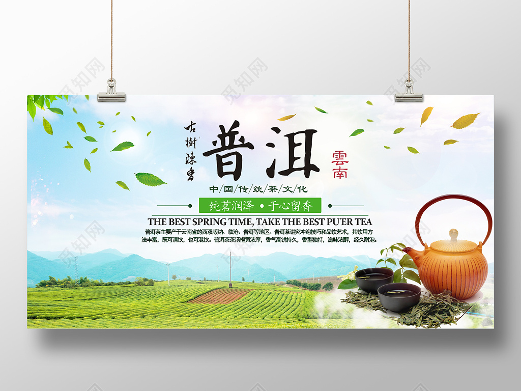 创意水彩茶叶茶文化普洱茶春天绿色宣传展板