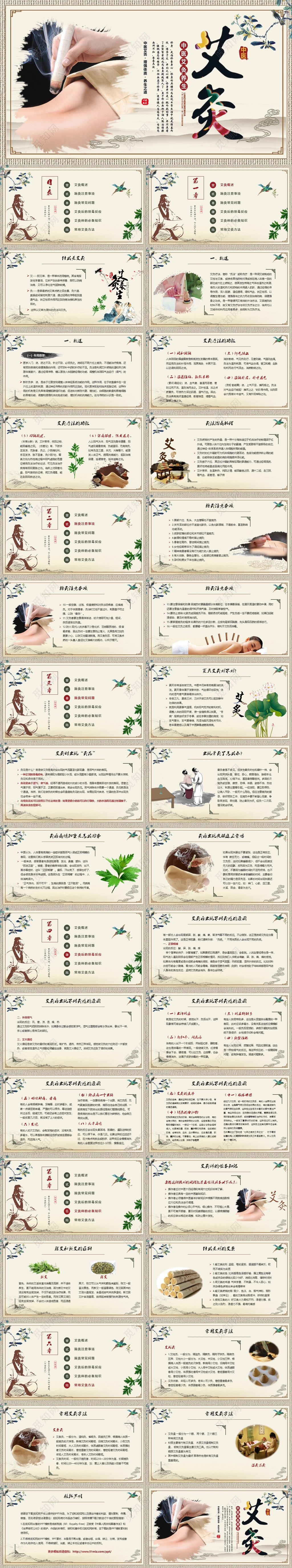 淡雅特色中医艾灸中医艾灸养生动态ppt模板