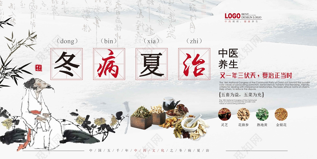 冬病夏治中医养生中药文化宣传展板