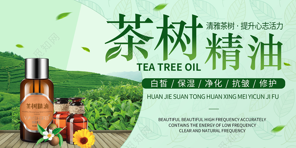 茶树精油绿色茶园叶子底纹背景护肤产品宣传海