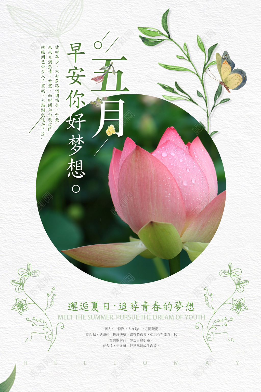 小清新五月5月你好海报