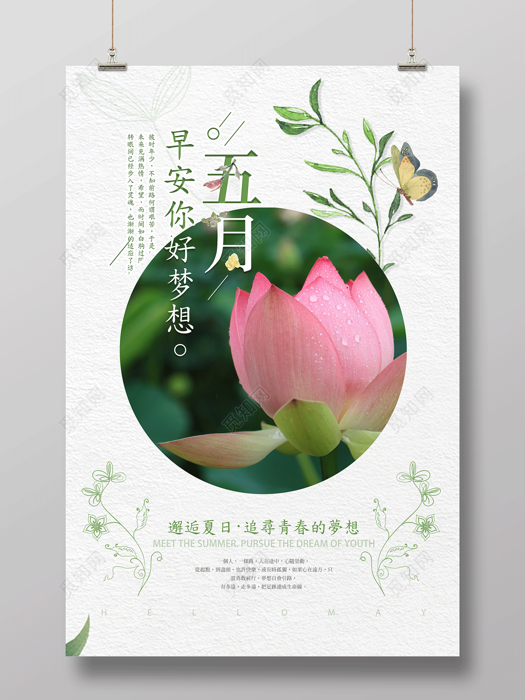 小清新五月5月你好海报
