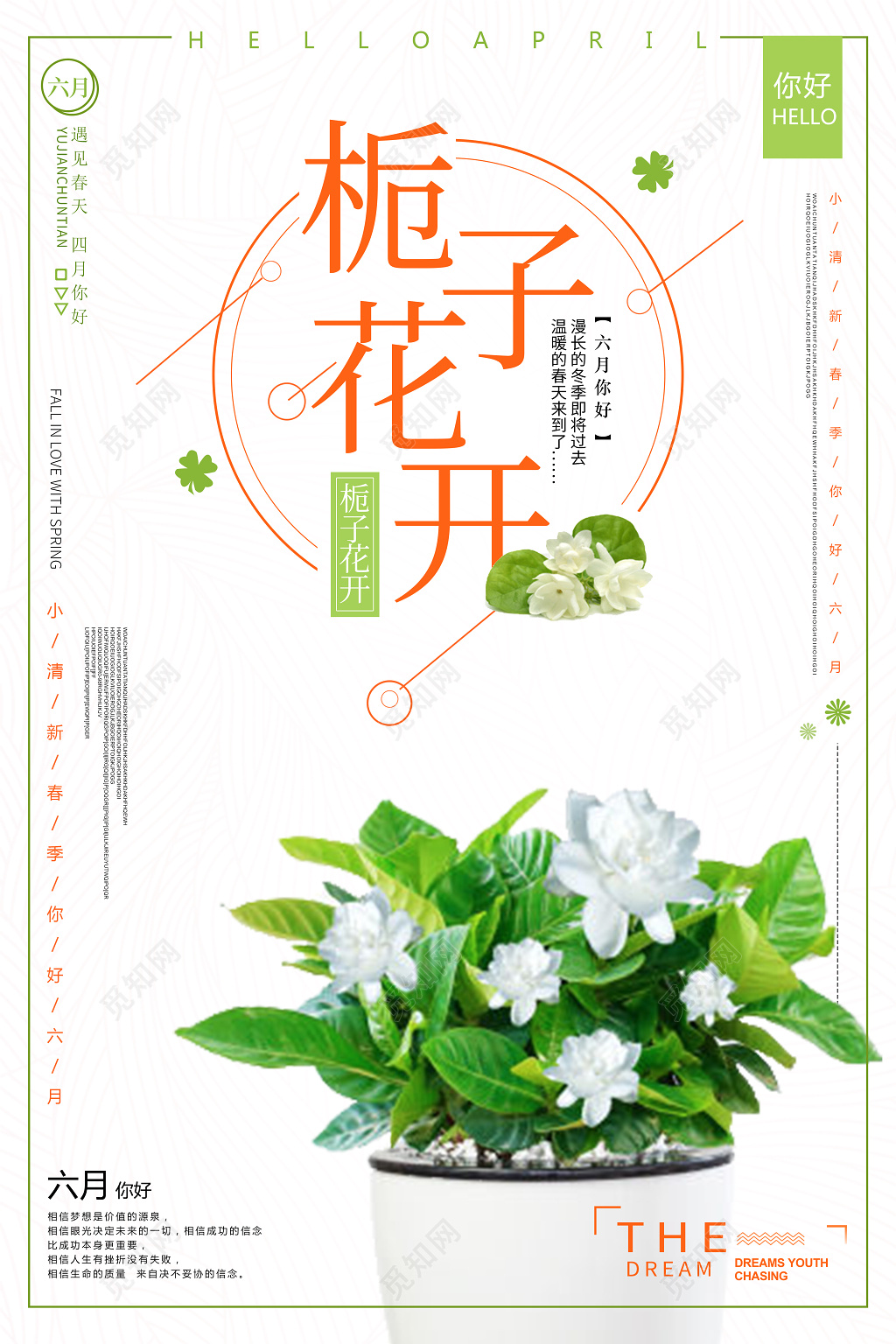6月夏季六月你好海报栀子花小清新六月海报