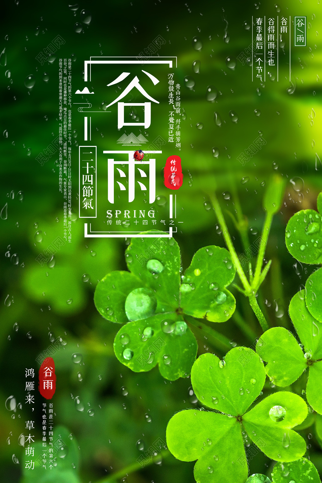 中华传统二十四节气之谷雨宣传海报