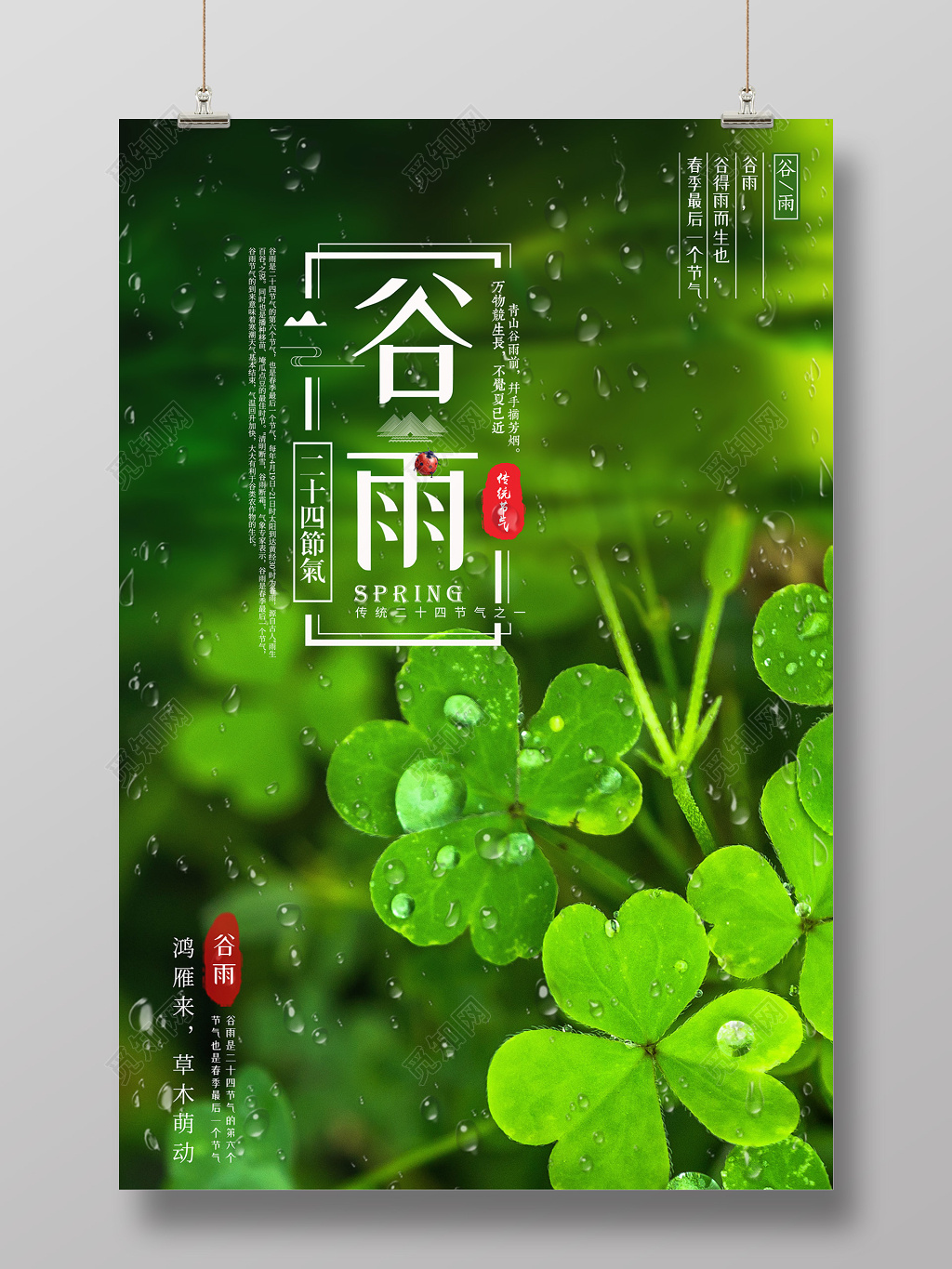 中华传统二十四节气之谷雨宣传海报