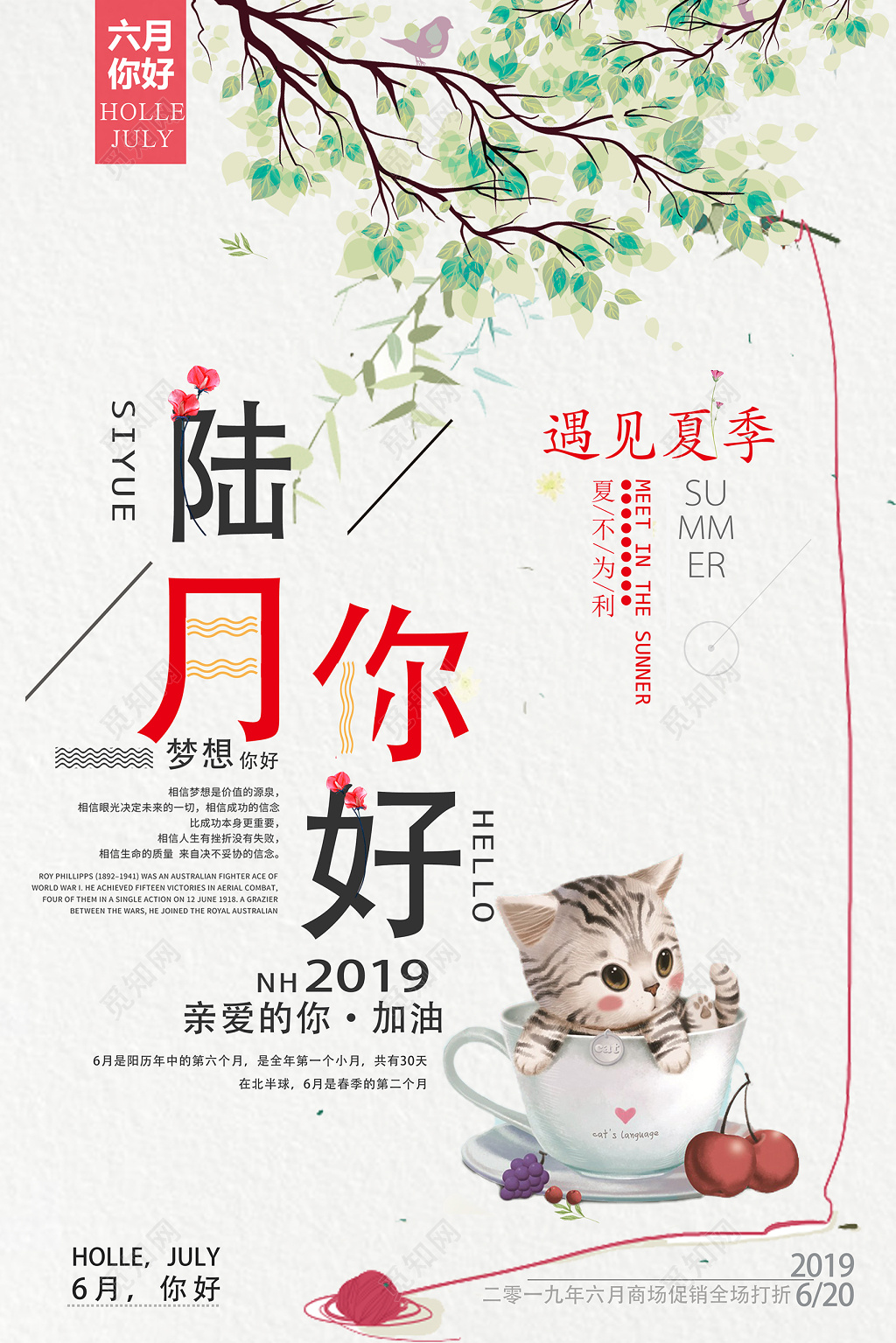 6月六月你好夏天文艺猫咪浅色底纹宣传海报