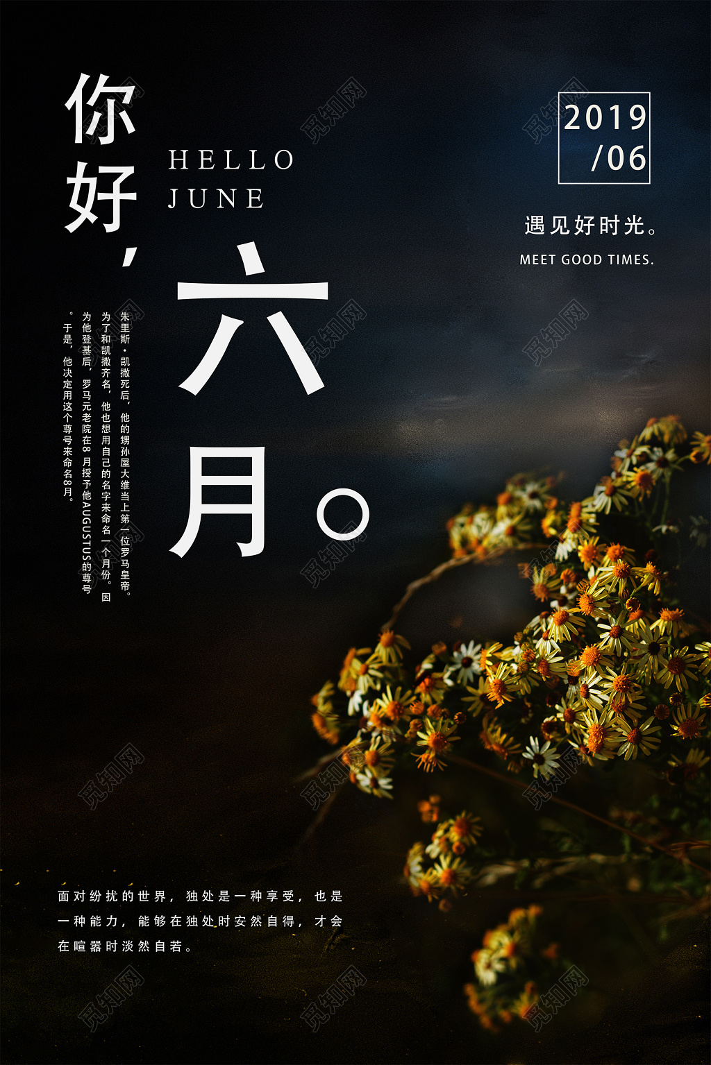 6月六月你好黑色系植物背景夏天宣传海报