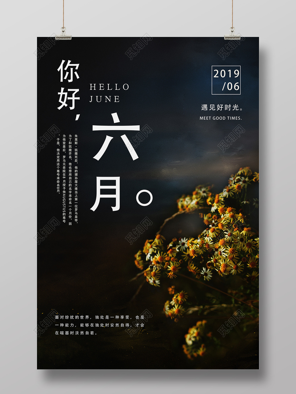 6月六月你好黑色系植物背景夏天宣传海报