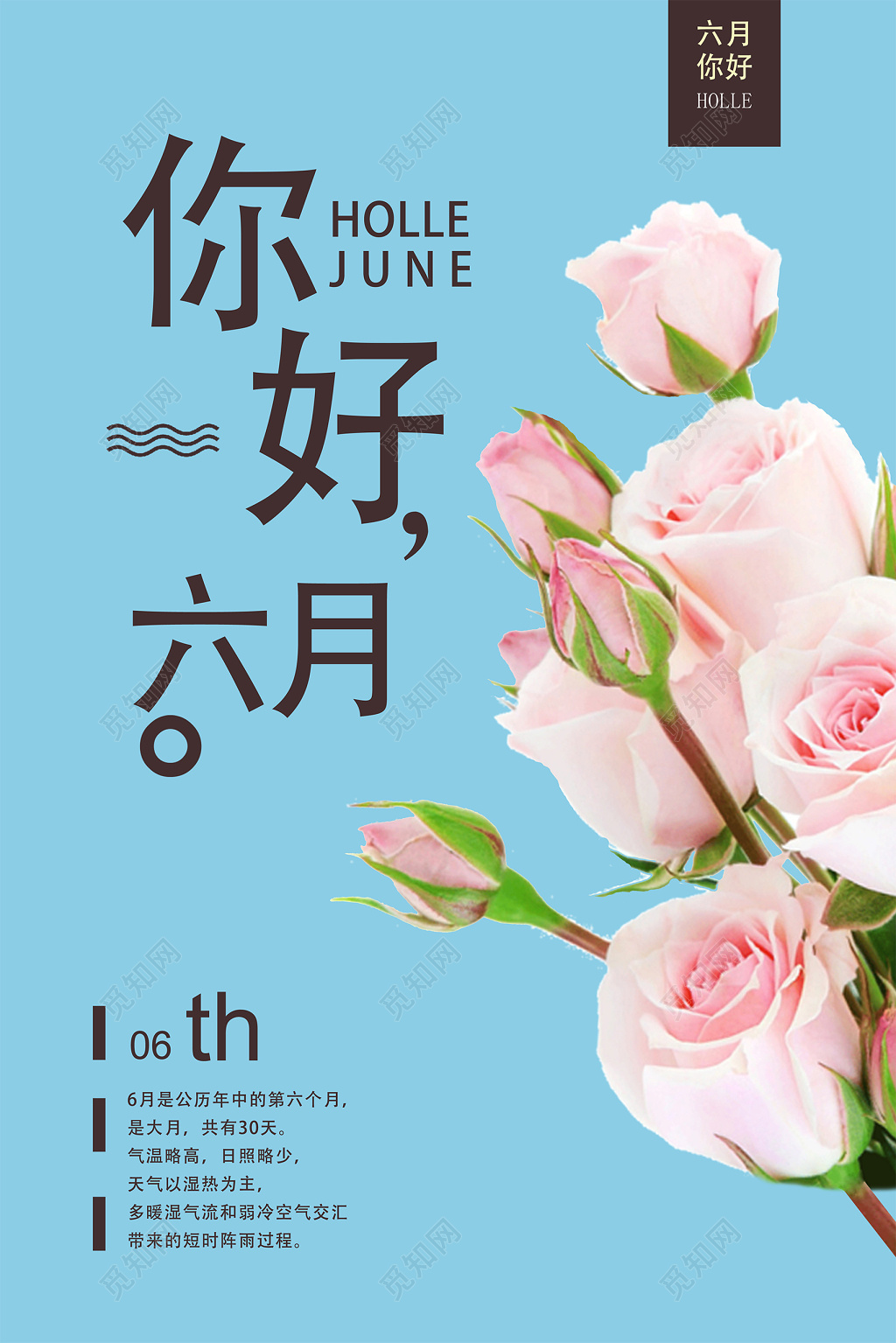 6月六月你好蓝色清新花朵背景夏天宣传海报