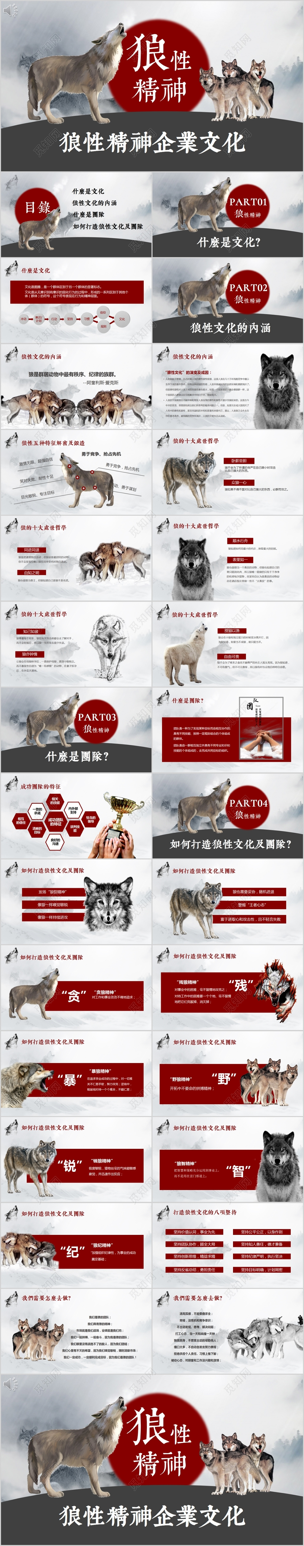 狼性精神企业文化狼性文化狼道精神员工培训团队学习PPT