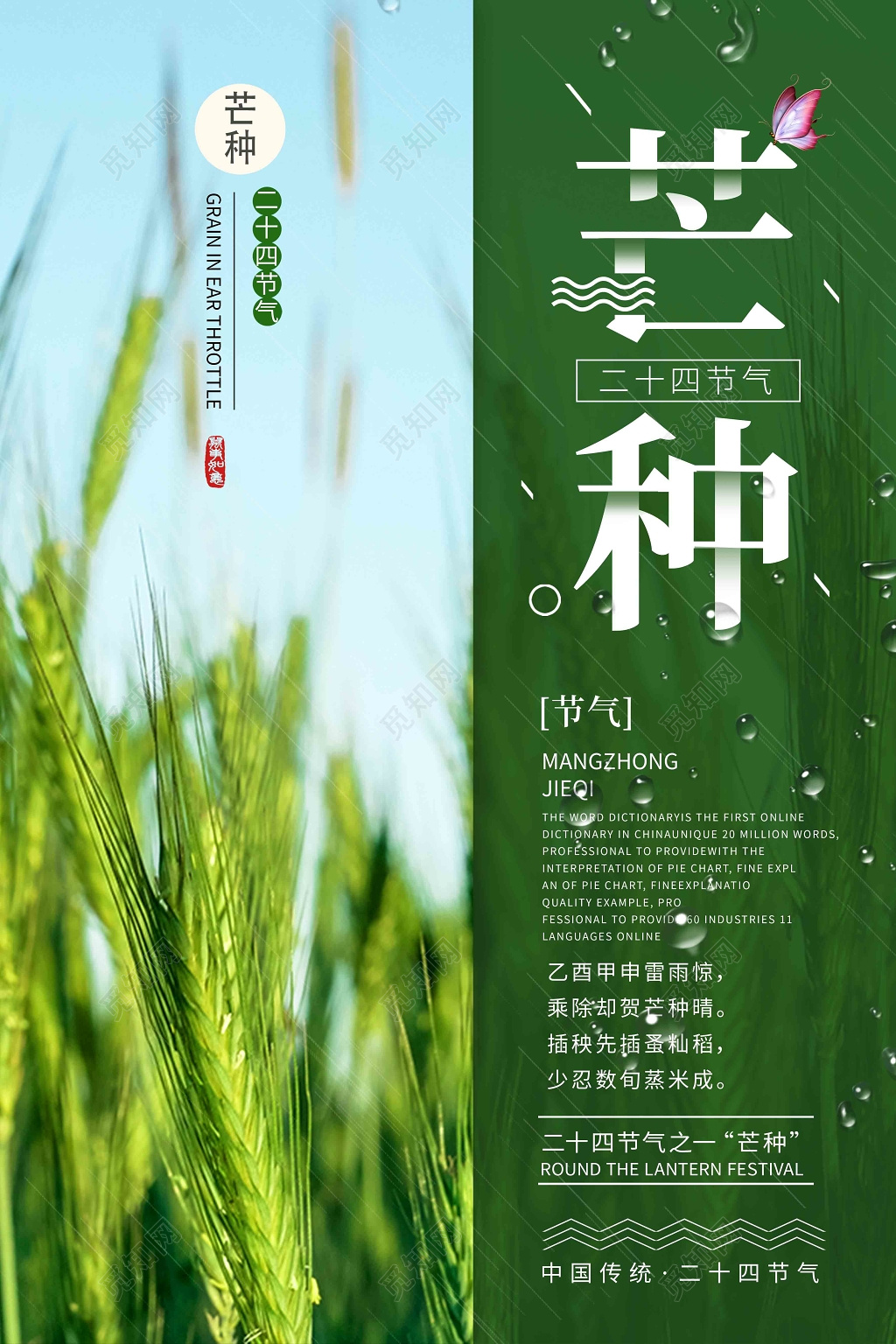 创意麦田中国传统24节气芒种宣传海报