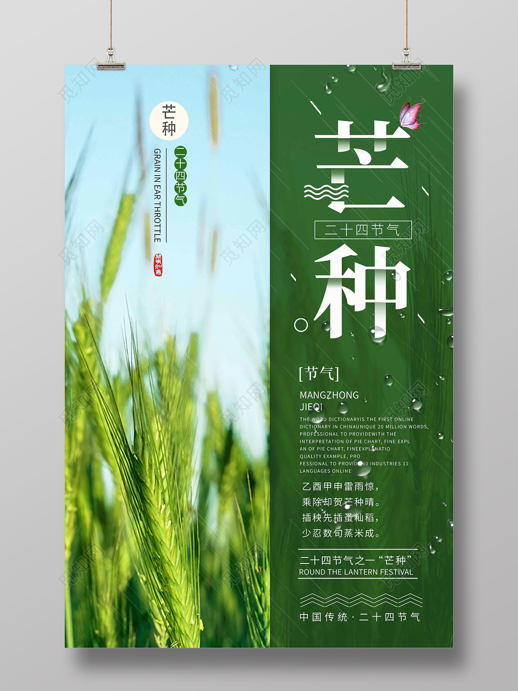 创意麦田中国传统24节气芒种宣传海报