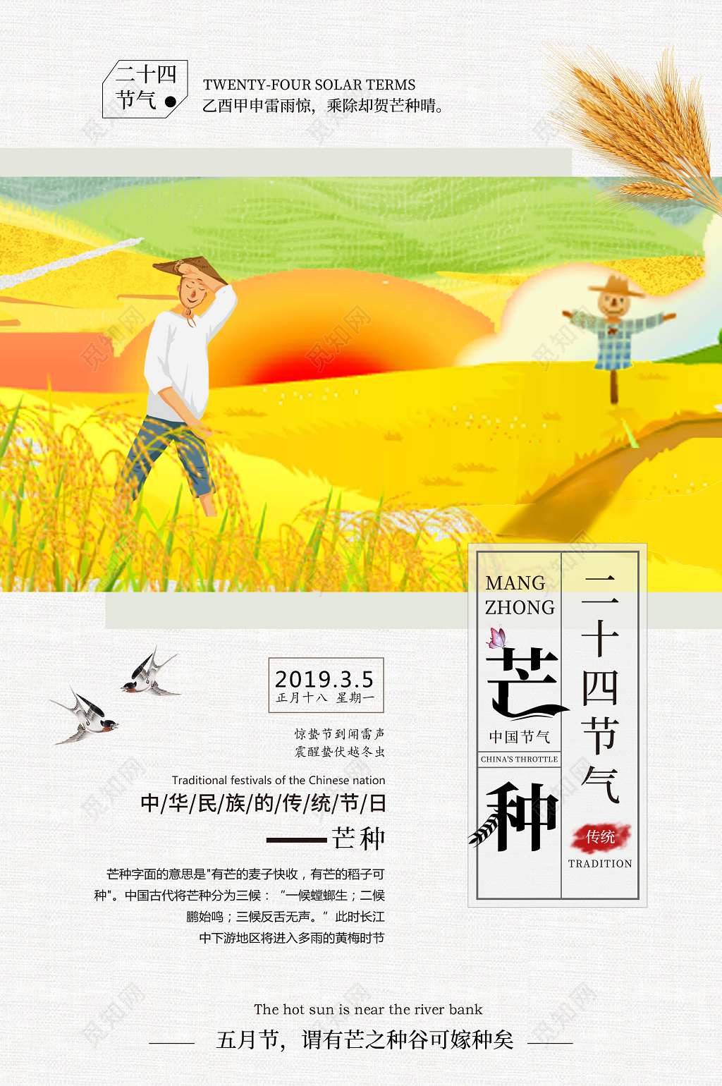 插画复古风二十四节气芒种