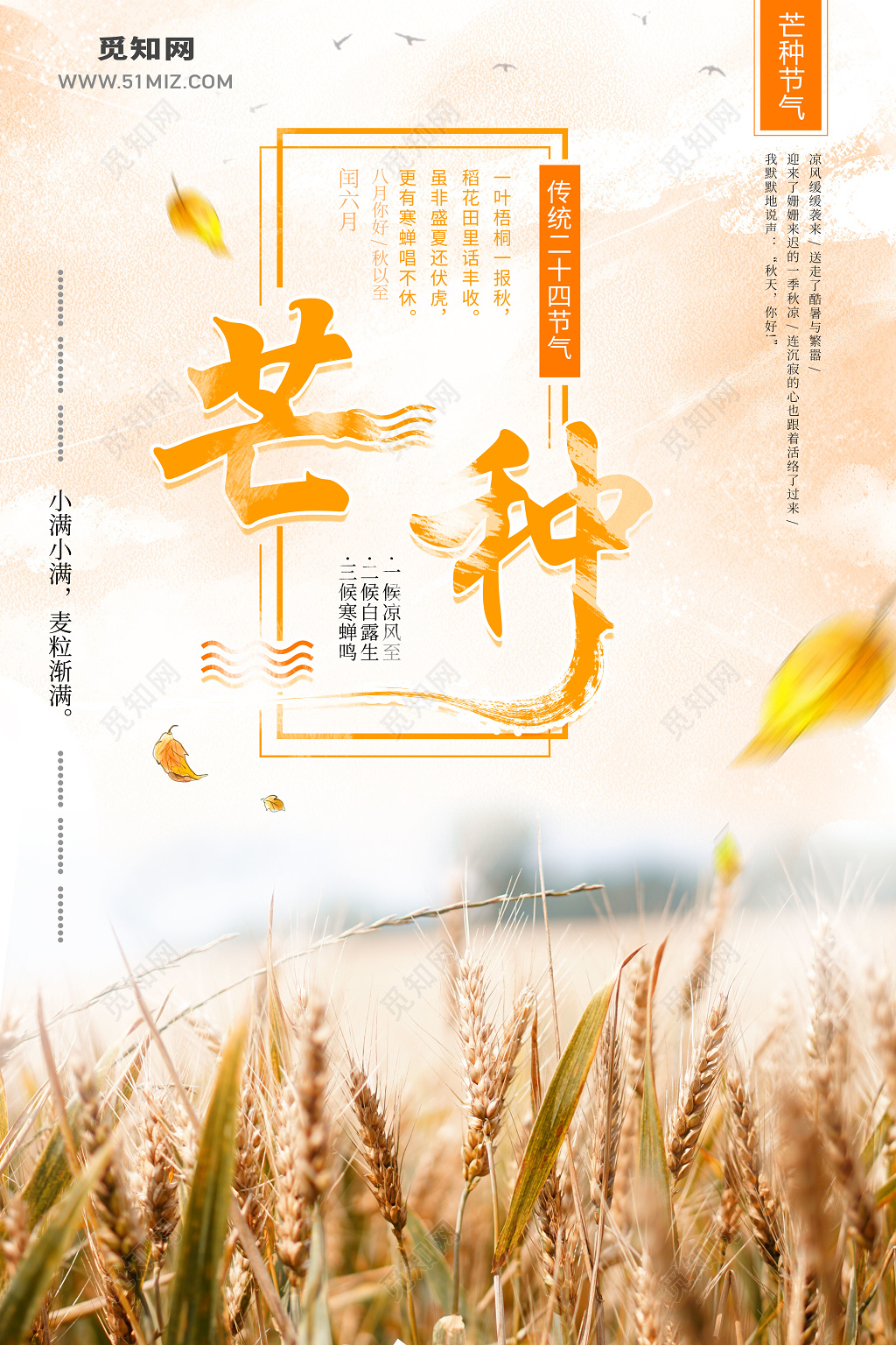 二十四节气芒种麦田实景图宣传海报