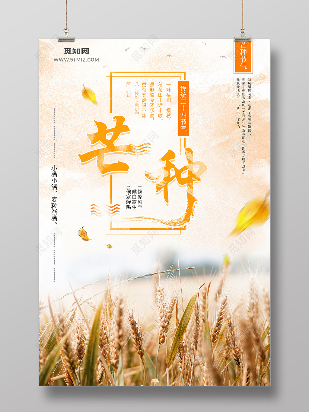 二十四节气芒种麦田实景图宣传海报
