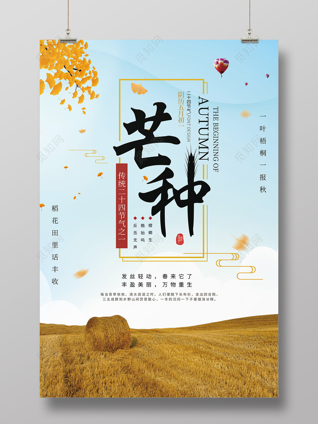 创意实景稻田二十四节气芒种海报