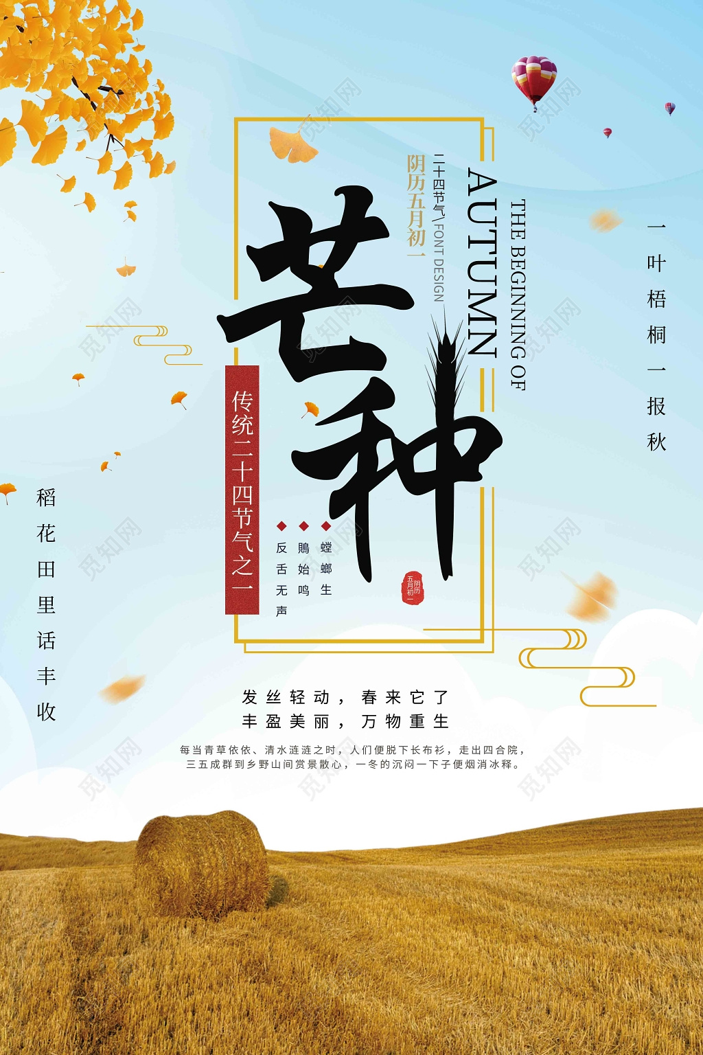 创意实景稻田二十四节气芒种海报