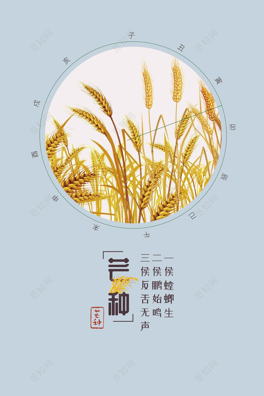 简约中国风二十四节气芒种海报