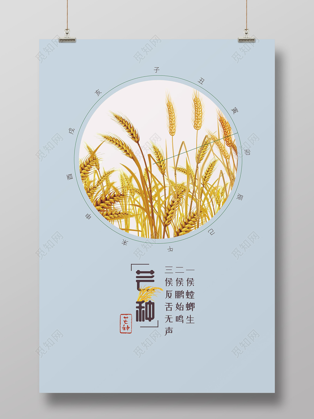 简约中国风二十四节气芒种海报