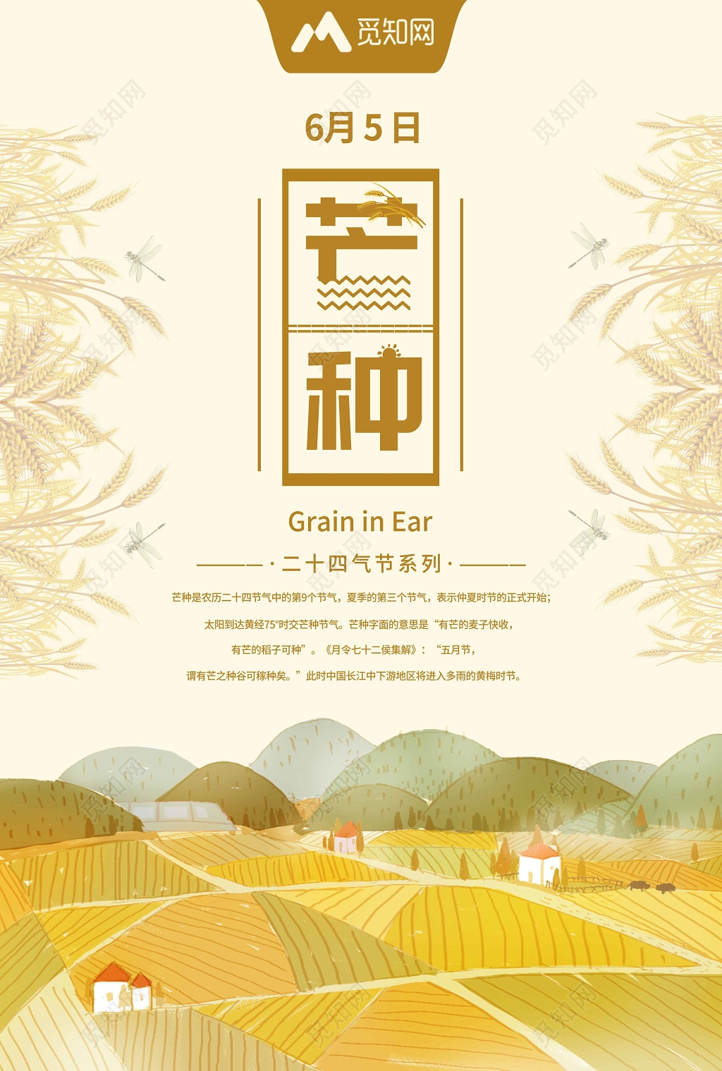 24节气之芒种黄色田野宣传海报