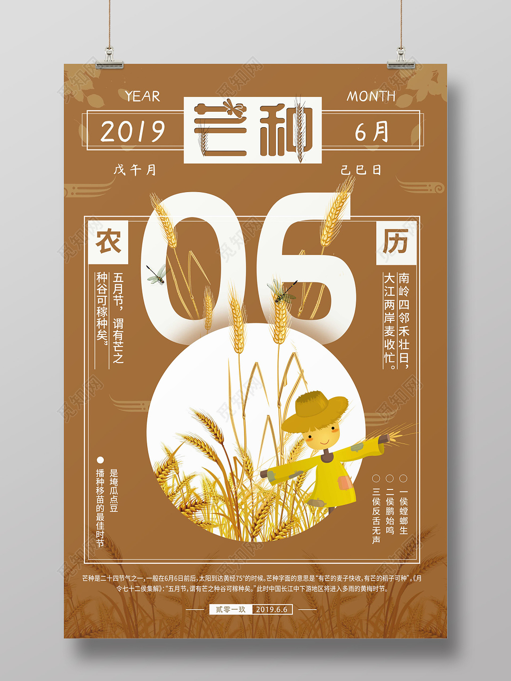 24节气之芒种黄色日历宣传海报