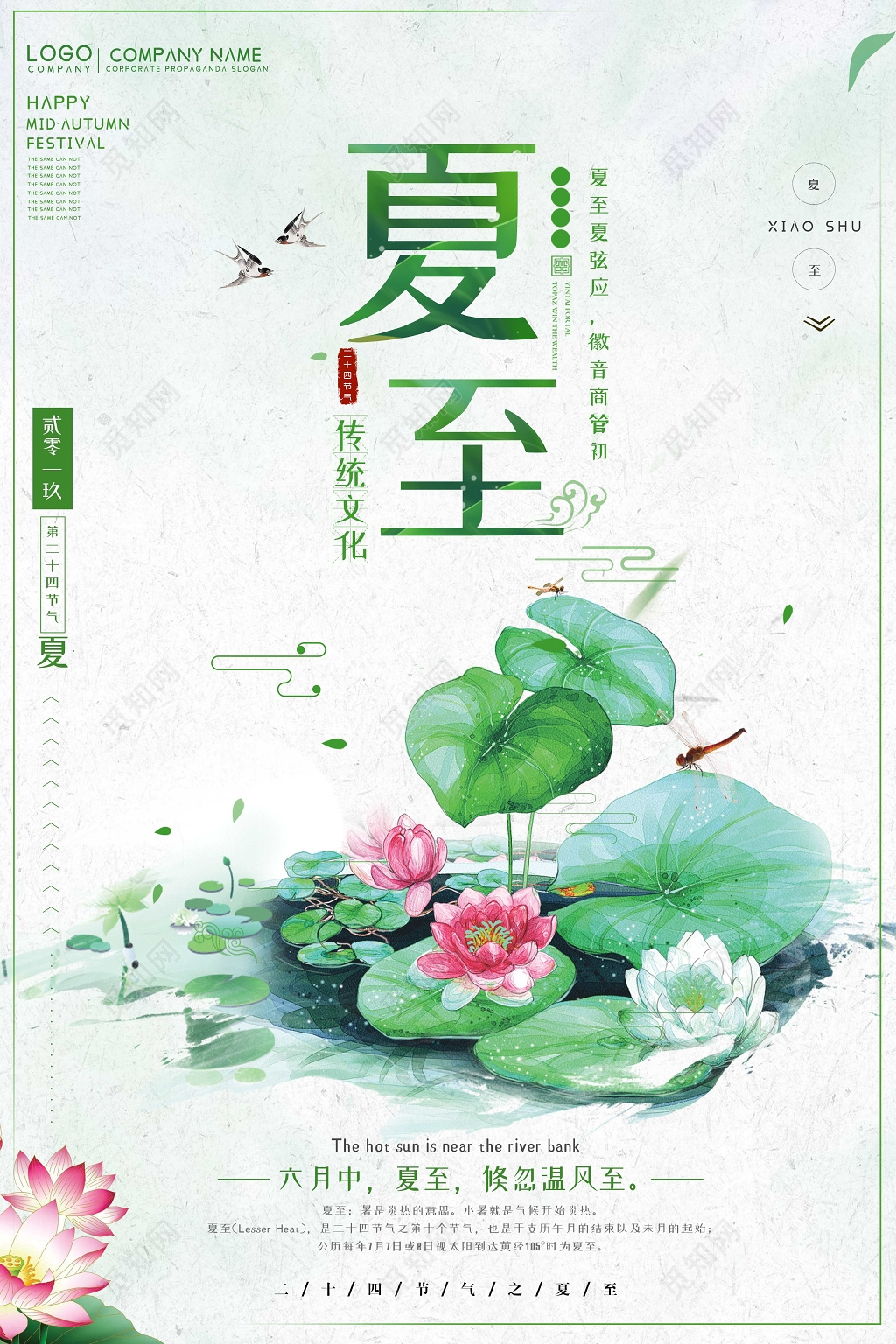 小清新2019二十四节气夏至莲花池宣传海报