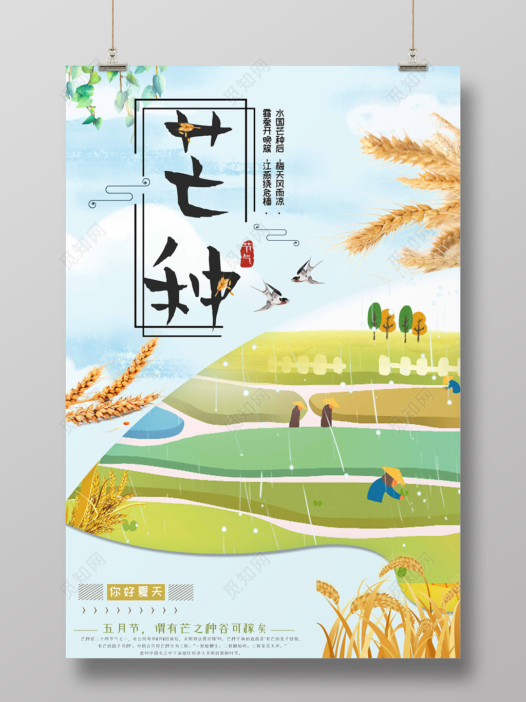 卡通可爱风2019传统二十四节气芒种金色小麦宣传海报