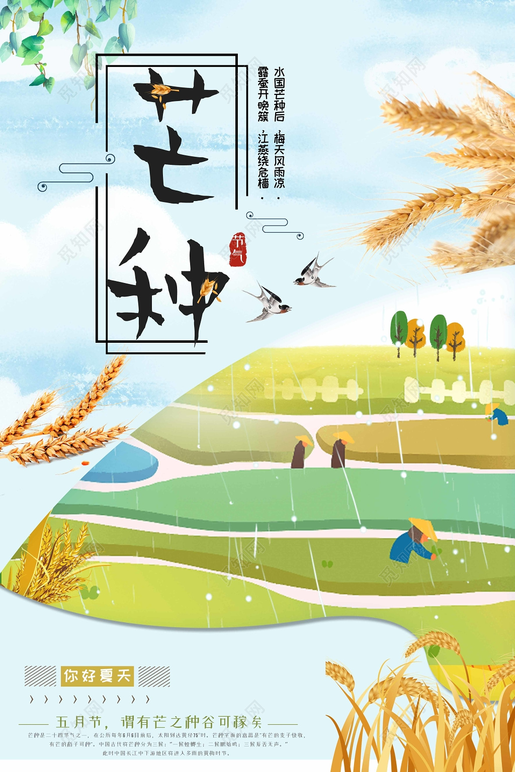 卡通可爱风2019传统二十四节气芒种金色小麦宣传海报