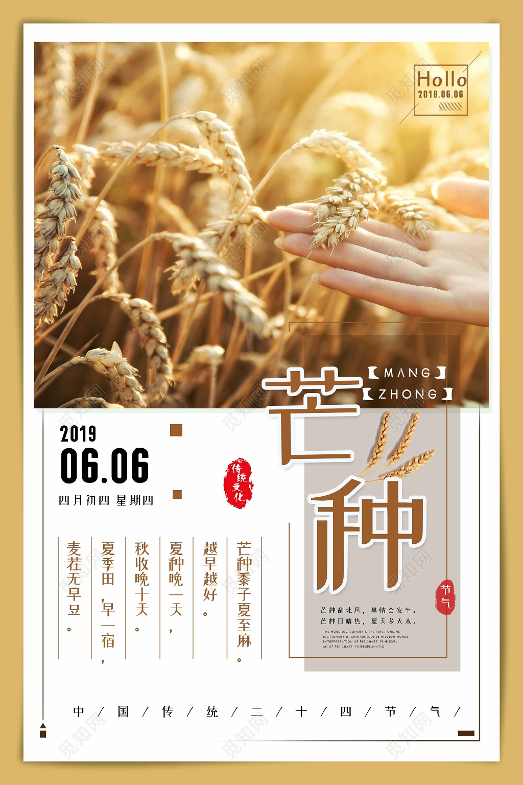 简约风2019传统二十四节气芒种金色稻田宣传海报