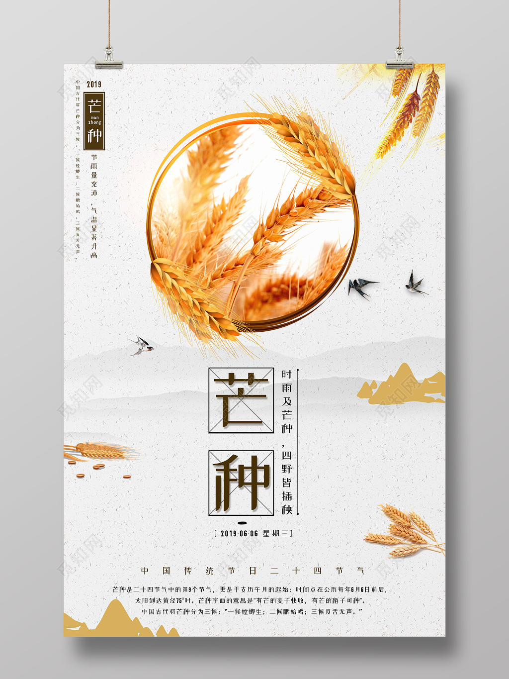 简约风2019传统二十四节气芒种金色小麦宣传海报