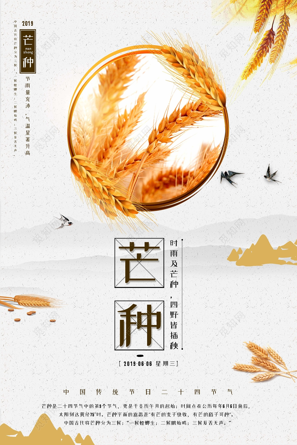 简约风2019传统二十四节气芒种金色小麦宣传海报