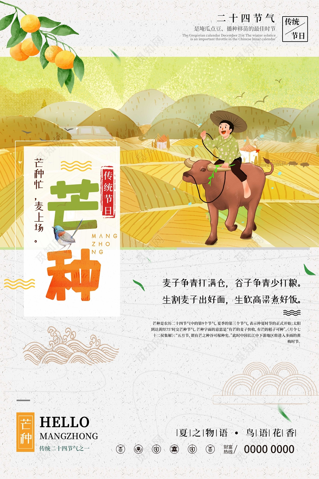 24节气之芒种放牛中国风宣传海报