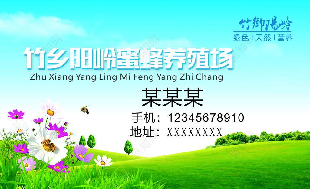 蜂蜜名片纯天然绿色健康名片设计模板