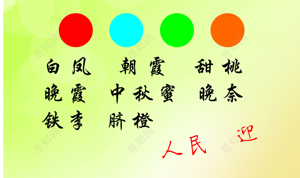 精品李桃名片模板