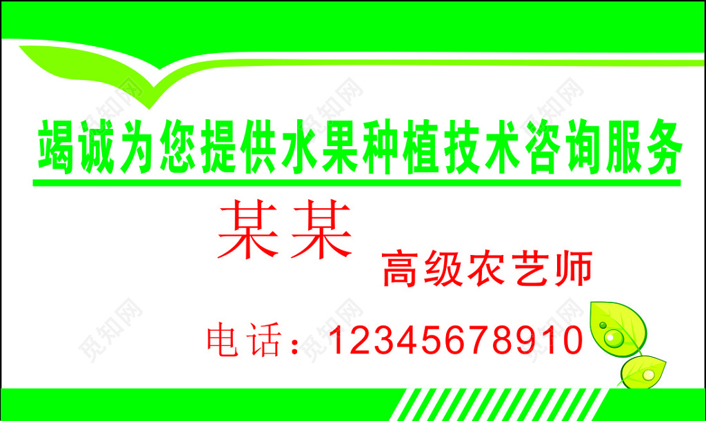 农产品名片水果种植简约名片设计模板