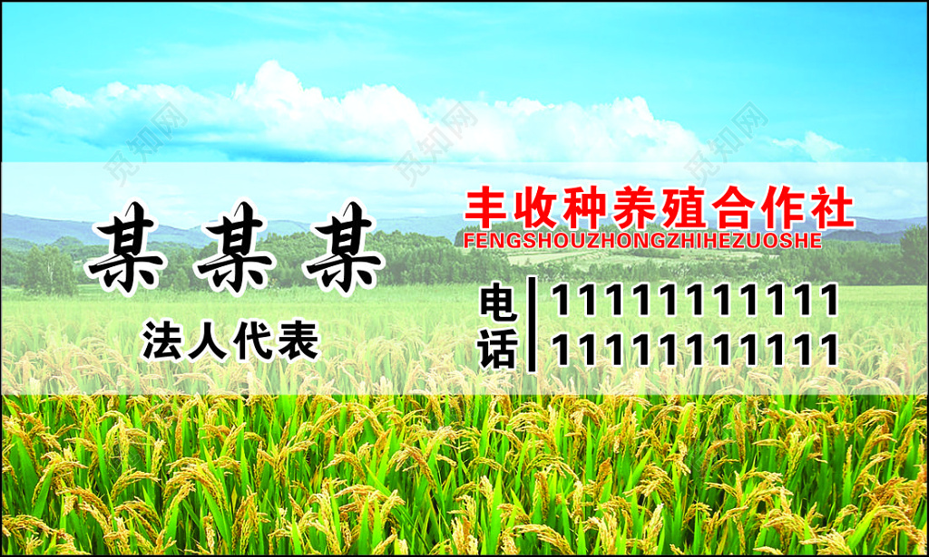 农产品名片养殖合作社绿色简约名片设计模板