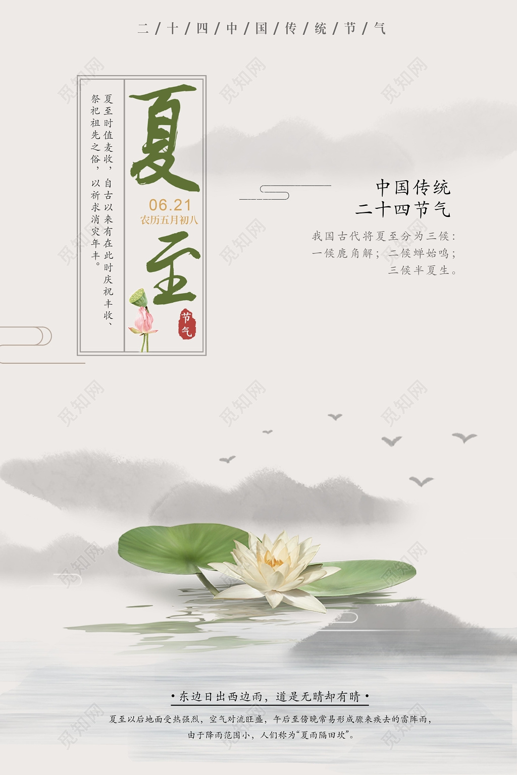 中国传统二十四节气夏至宣传海报