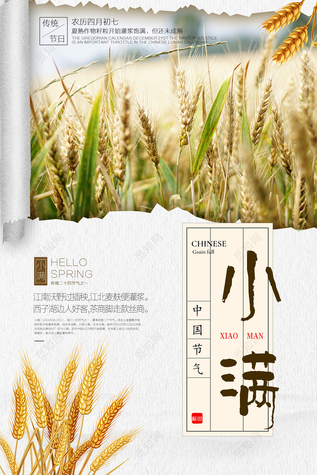 小满二十四节气海报