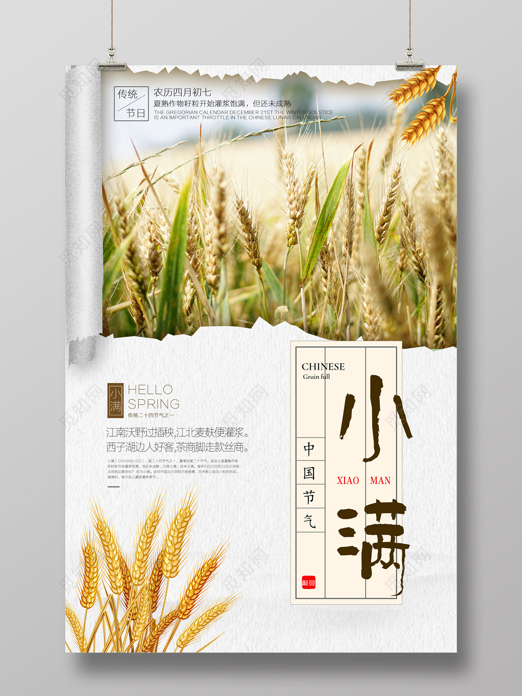 小满二十四节气海报